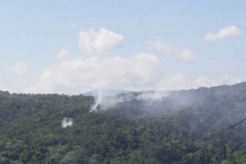 Fuegos forestales afectan zona de Jarabacoa