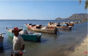 Peces muertos en Bahía Samaná pone en juicio protección ambiental