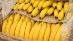 Ecuador plantea a China que le compre plátano que no podrá exportar