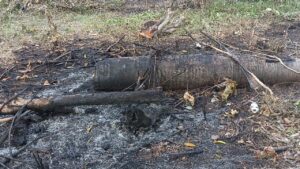 Dueño de una finca denuncia tala de árboles cerca de playa en Samaná